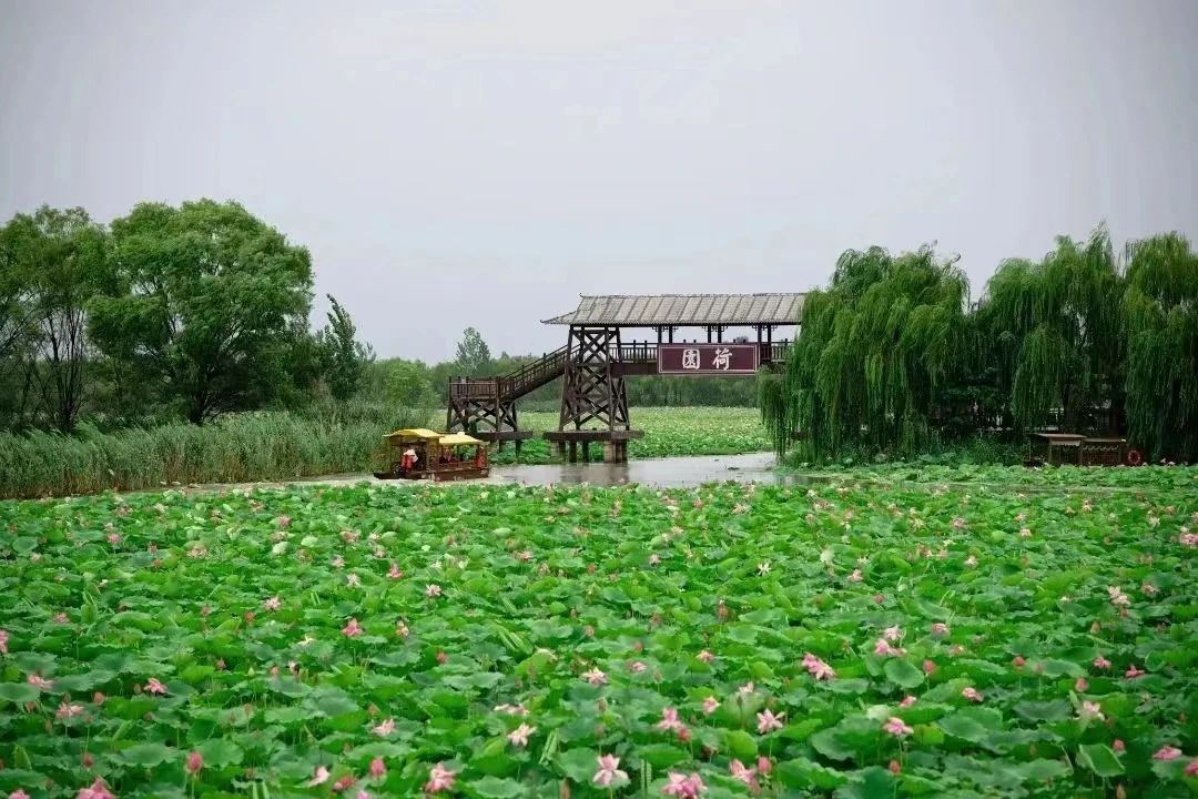 惠民卡推荐景区-微山湖旅游区