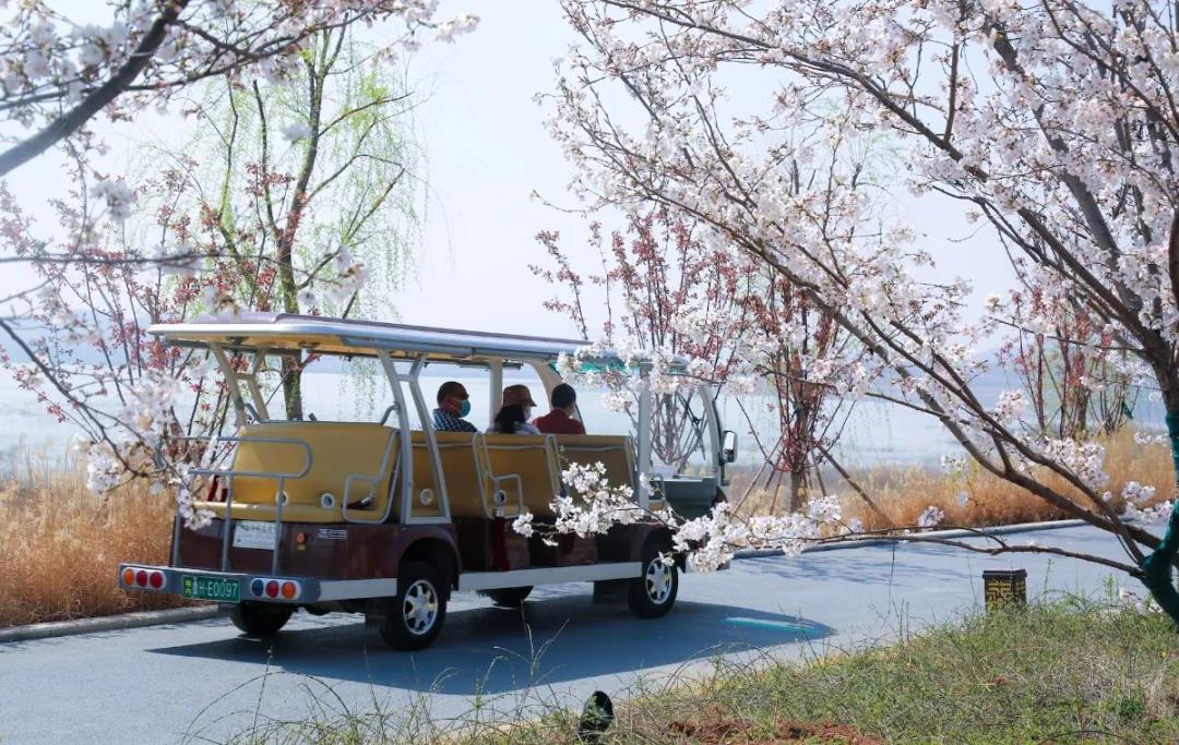 孔子文旅集团多家景区“网络传播影响力指数”靠前 实现开门红