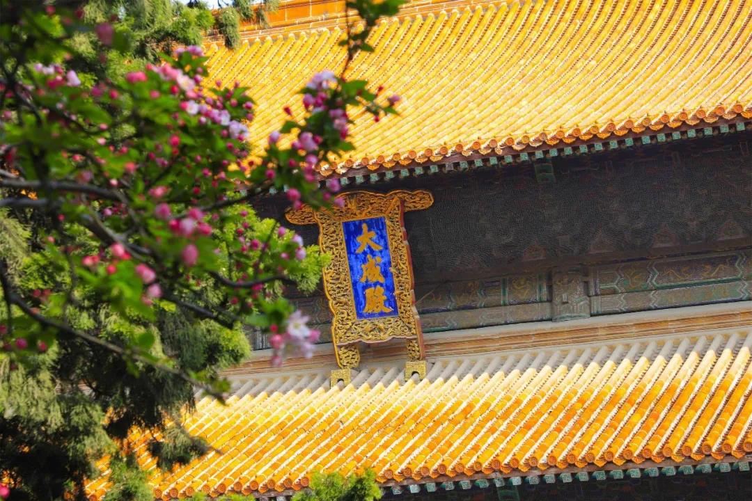 五一出游攻略 | 孔子文旅集团这些景区欢迎打卡!