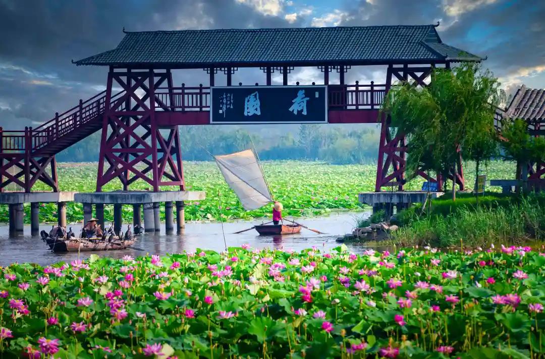 高考加油 | 微山湖旅游区祝愿莘莘学子金榜题名！